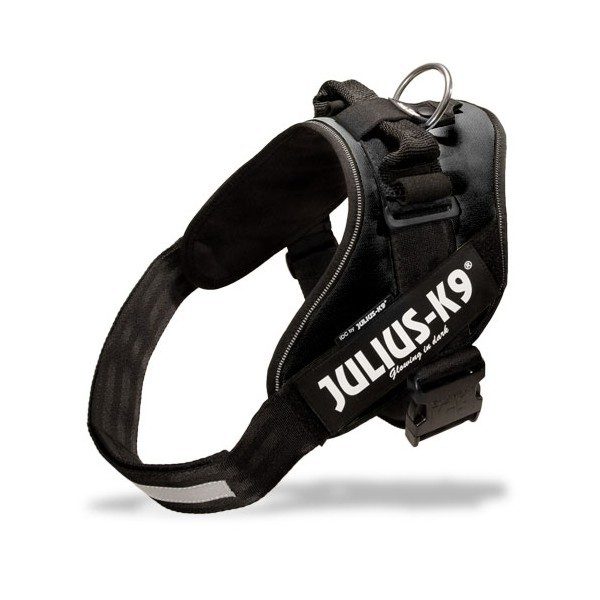 Arnes Julius K9 IDC Negro